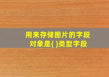 用来存储图片的字段对象是( )类型字段